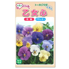 トーホク 大好きビオラ 乙女心 種 花壇 プランター 寄せ植え 草花 たね 種子 ガーデニング