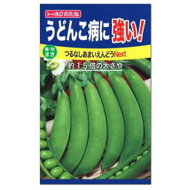 トーホク つるなし あまいえんどう NEXT 種 家庭菜園 スナップエンドウのタネ スナック 野菜 たね 種子 えんどう豆