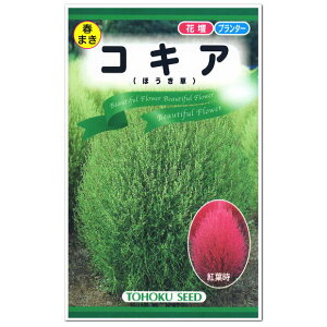ほうき 草 Diy 工具の人気商品 通販 価格比較 価格 Com