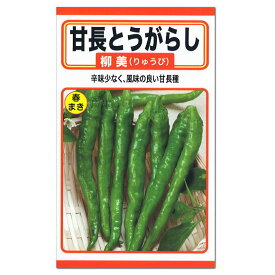 トーホク　甘長とうがらし　柳美　種　(プランター栽培可 家庭菜園 唐辛子 とうがらしのタネ たね 種子 夏野菜）
