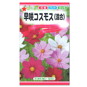 桃 切花 Diy 工具の人気商品 通販 価格比較 価格 Com
