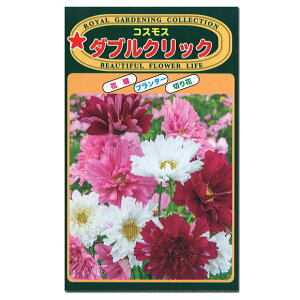 切花 白の人気商品 通販 価格比較 価格 Com 切花 白の人気商品 通販 価格比較 価格 Com