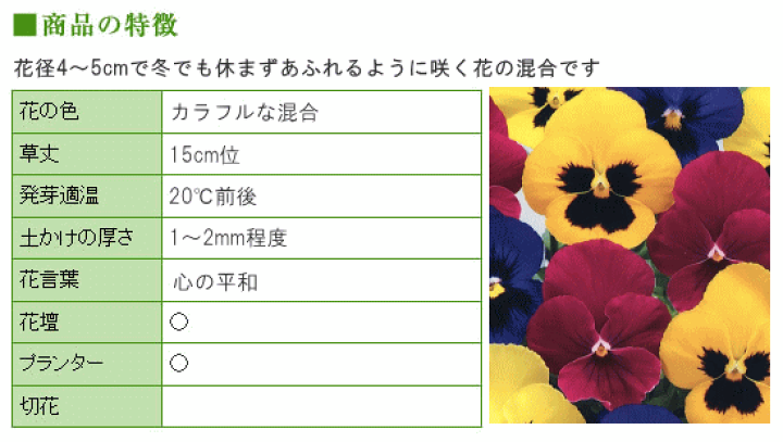 楽天市場 トーホク 恋するパンジー あふれ咲 ひだまり 種 花壇 プランター 寄せ植え 草花 たね ガーデニング ガーデニングと雑貨の菜園ライフ