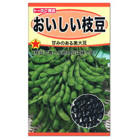 トーホク おいしい枝豆 種 生産地 北海道 えだまめ 家庭菜園 プランター栽培 エダマメのタネ たね 種子 まめ 豆