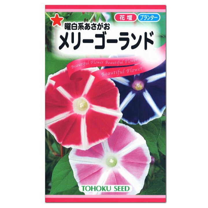 楽天市場 トーホク 曜白系あさがお メリーゴーランド 種 生産地 茨城県 花壇 プランター 朝顔 緑のカーテン エコ アサガオのたね 種子 グリーンカーテン ガーデニングと雑貨の菜園ライフ