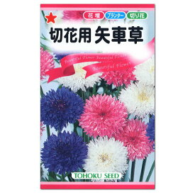 トーホク 切花用矢車草 種 一年草 花壇 プランター 切花 たね 種子 タネ ガーデニング