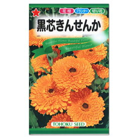 楽天市場 黒 種類 植物 キンセンカ カレンデュラ 種子 ガーデニング 農業 花 ガーデン Diyの通販