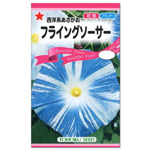 朝顔 種の人気商品 通販 価格比較 価格 Com