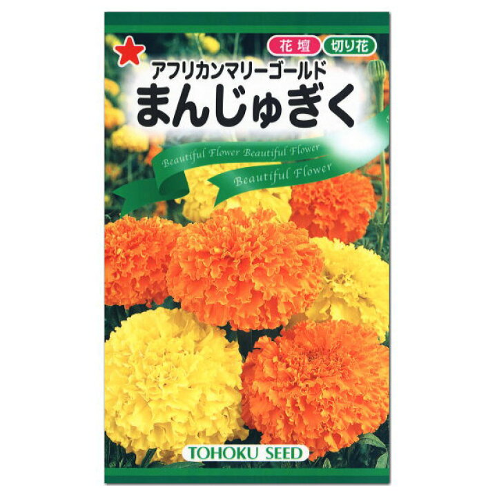 楽天市場 トーホク アフリカンマリーゴールド まんじゅぎく 種 花壇 草花 たね コンパニオンプランツ ガーデニング アフリカン ガーデニングと雑貨の菜園ライフ