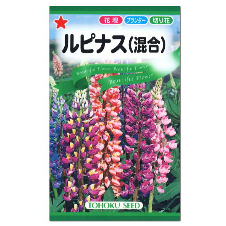 楽天市場 トーホク ルピナス 混合 種 一年草 花壇 プランター 切り花 たね のぼりふじ 昇藤 ノボリフジ 立藤 タチフジ ガーデニングと雑貨の菜園ライフ