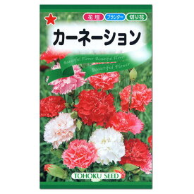 楽天市場 カーネーション 種子 ガーデニング 農業 花 ガーデン Diyの通販