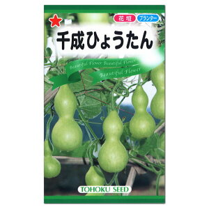 種 ひょうたんの人気商品 通販 価格比較 価格 Com
