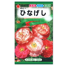 楽天市場 ポピー 種の通販