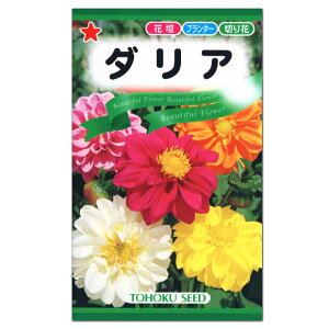 ダリア 切花 Diy 工具の人気商品 通販 価格比較 価格 Com