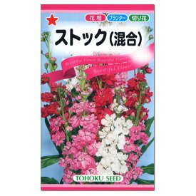 楽天市場 ストック 切花の通販 楽天市場 ストック 切花の通販