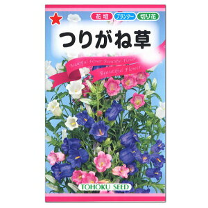 種 カンパニュラの人気商品 通販 価格比較 価格 Com 種 カンパニュラの人気商品 通販 価格比較 価格 Com