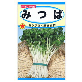 楽天市場 セリ 種の通販 楽天市場 セリ 種の通販