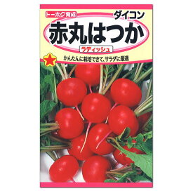 トーホク 赤丸はつか ラディッシュ 種 家庭菜園 プランター栽培 ダイコンのタネ 野菜 たね 種子