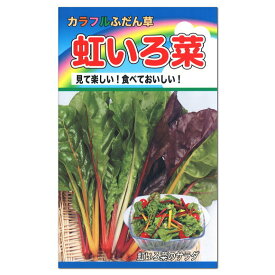楽天市場 チャード 種の通販