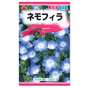 ネモフィラ 種の人気商品 通販 価格比較 価格 Com