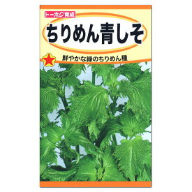 トーホク ちりめん青しそ 種 生産地 岩手県 紫蘇 シソのタネ 野菜 種子 たね 緑黄色野菜 青じそ 家庭菜園