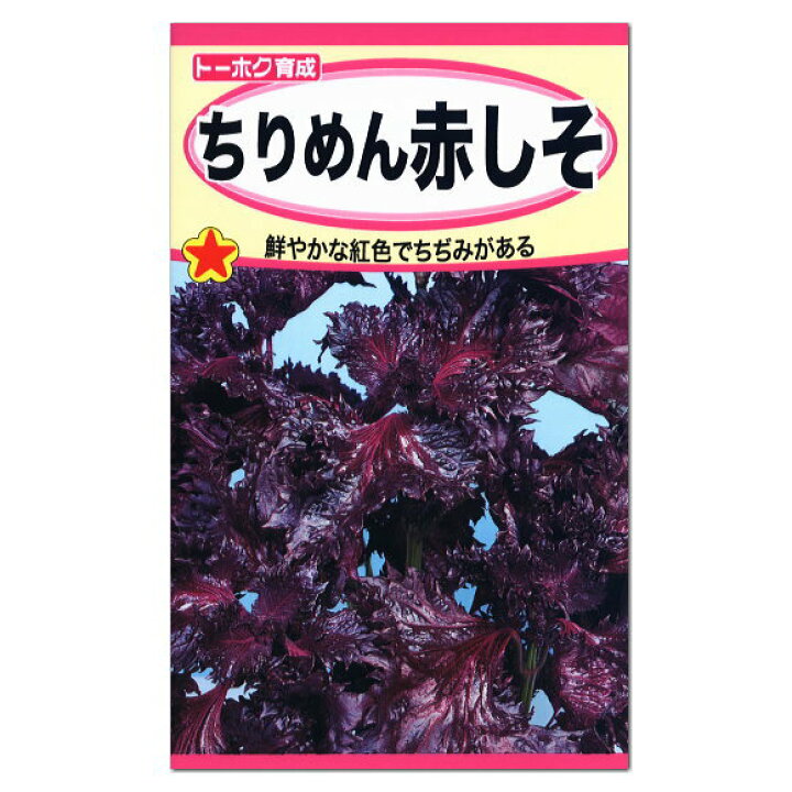 楽天市場 赤しそ トーホク ちりめん赤しそ 種 生産地 栃木県 家庭菜園 紫蘇 野菜 たね 種子 シソのタネ 緑黄色野菜 ガーデニングと雑貨の菜園ライフ