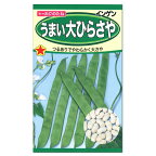 トーホク つるあり うまい大ひらさや インゲン 種 家庭菜園 いんげんのタネ たね 種子 夏野菜 モロッコ