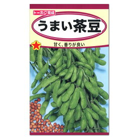 トーホク うまい茶豆 種 枝豆 生産地 北海道 ちゃまめ えだまめ 家庭菜園 プランター栽培 エダマメのタネ たね 種子 夏野菜