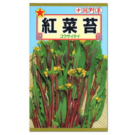 トーホク 紅菜苔 種 コウサイタイ 家庭菜園 紅菜花 べになばな こうさいたいのタネ 種子 たね