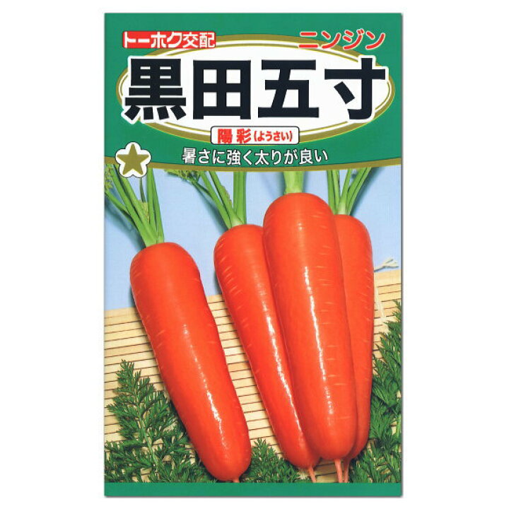楽天市場 トーホク 黒田五寸 陽彩 にんじん 種 家庭菜園 健康野菜 人参 キャロット 西洋種 ニンジンのタネ 野菜 たね ガーデニングと雑貨の菜園 ライフ