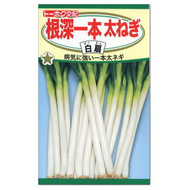 楽天市場 春 植え 玉ねぎ 苗の通販 楽天市場 春 植え 玉ねぎ 苗の通販