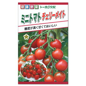 トーホク ミニトマト チェリーメイト 種 家庭菜園 プランター栽培 とまとのタネ たね 種子 夏野菜 緑黄色野菜