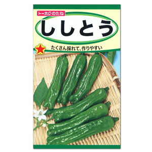 シシトウ 種の人気商品 通販 価格比較 価格 Com