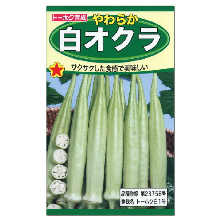 楽天市場 トーホク やわらか白オクラ 丸莢 種 家庭菜園 プランター栽培 丸さやおくらのタネ たね 種子 緑黄色野菜 夏野菜 ガーデニングと雑貨の菜園ライフ 楽天市場 トーホク やわらか白オクラ 丸莢 種 家庭菜園 プランター栽培 丸さやおくらのタネ たね 種子 緑黄色野菜 夏野菜 ガーデニングと雑貨の菜園ライフ