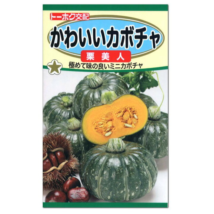 楽天市場 トーホク かわいいカボチャ 栗美人 ミニカボチャ 種 家庭菜園 南瓜種子 かぼちゃのタネ たね 種子 緑黄色野菜 夏野菜 ガーデニングと雑貨の菜園ライフ