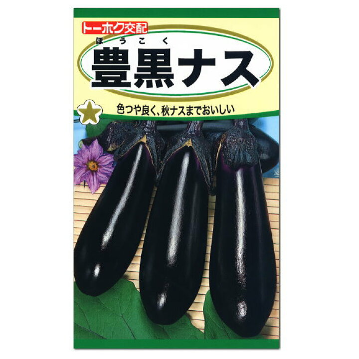 楽天市場 当店オススメ トーホク 豊黒ナス 種 家庭菜園 プランター栽培可 茄子 なす ナスのタネ たね 種子 夏野菜 ガーデニングと雑貨の菜園ライフ