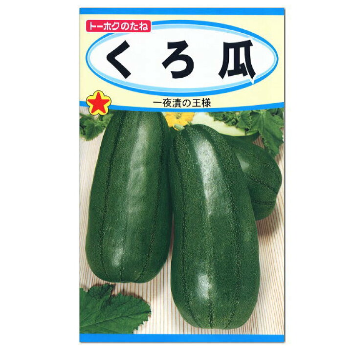 楽天市場 トーホク くろ瓜 種 家庭菜園 ウリのタネ たね 種子 夏野菜 ガーデニングと雑貨の菜園ライフ