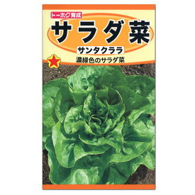 トーホク サラダ菜 サンタクララ 種 レタス 家庭菜園 玉チシャ プランター栽培 レタスのタネ 緑黄色野菜 たね