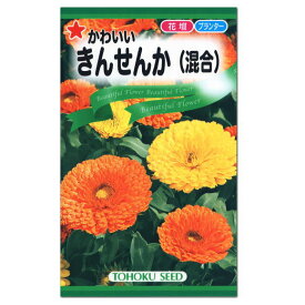 トーホク かわいい きんせんか 混合 種 一年草 花壇 プランター たね 種子 タネ ガーデニング