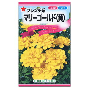 夏 花 寄せ植え 種の人気商品 通販 価格比較 価格 Com