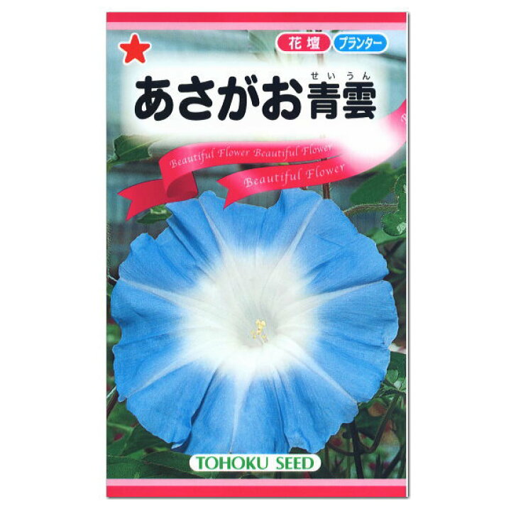 楽天市場 トーホク あさがお青雲 種 花壇 プランター 朝顔 アサガオのたね 種子 グリーンカーテン 緑のカーテン ガーデニングと雑貨の菜園ライフ