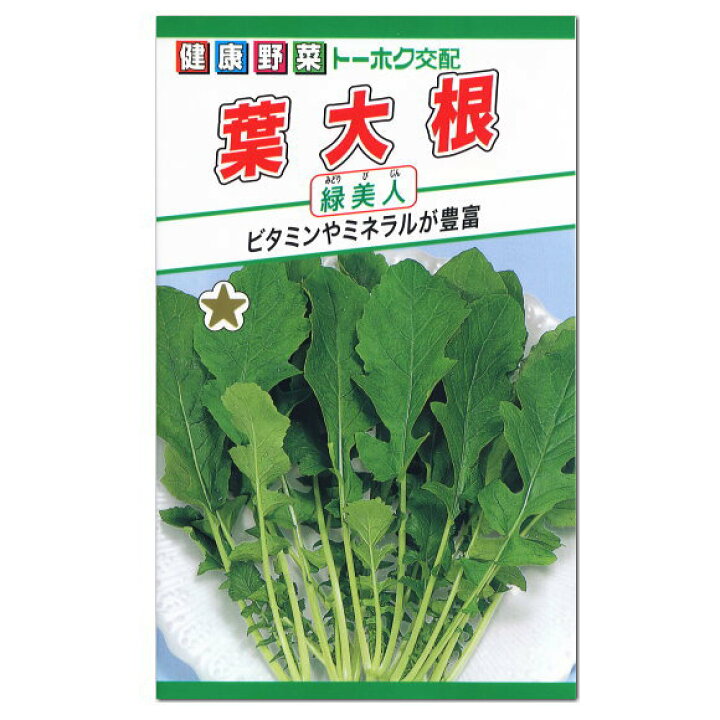 楽天市場 トーホク 葉大根 緑美人 種 家庭菜園 簡単 野菜 栽培 たね 種子 葉ダイコンのタネ ガーデニングと雑貨の菜園ライフ 楽天市場 トーホク 葉大根 緑美人 種 家庭菜園 簡単 野菜 栽培 たね 種子 葉ダイコンのタネ ガーデニングと雑貨の菜園ライフ