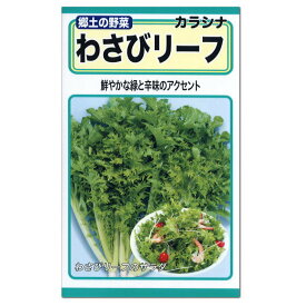 楽天市場 わさび菜 種の通販