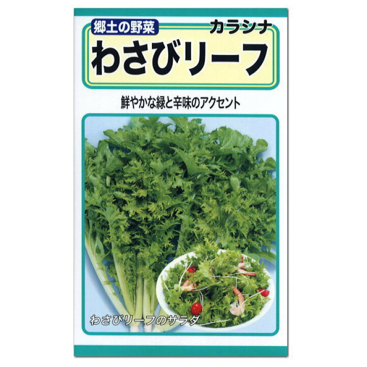 楽天市場 トーホク わさびリーフ 種 わさび菜 漬け菜 ツケナ 家庭菜園 ワサビナの種 たね タネ 種子 野菜 栽培 ガーデニングと雑貨の菜園ライフ