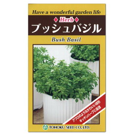 楽天市場 ブッシュバジル 種の通販
