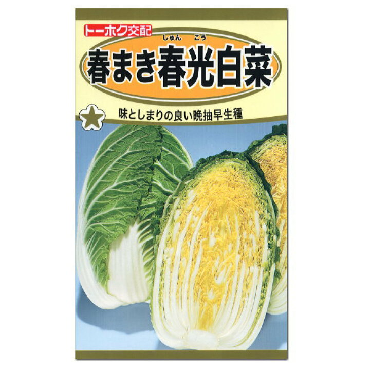 楽天市場 春まき用 トーホク 春光白菜 春まき 種 生産地 岩手県 家庭菜園 種子 たね はくさい ハクサイのタネ ガーデニングと雑貨の菜園ライフ