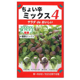 楽天市場 わさび菜 種の通販 楽天市場 わさび菜 種の通販