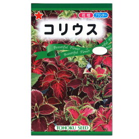 楽天市場 コリウス 赤の通販