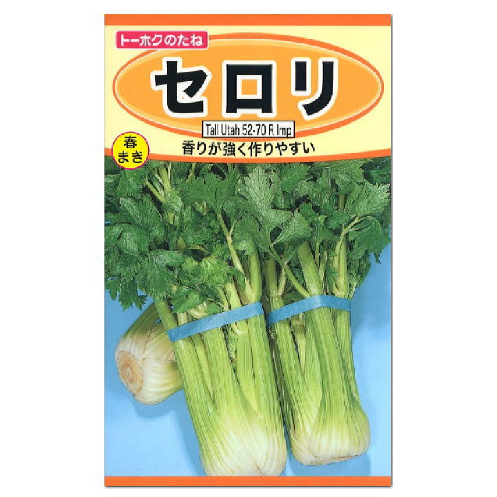 楽天市場 トーホク セロリ 種 家庭菜園 野菜 たね タネ 種子 ガーデニングと雑貨の菜園ライフ