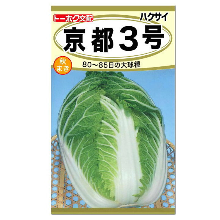 楽天市場 トーホク 京都3号 白菜 種 家庭菜園 野菜栽培 白菜 はくさい ハクサイのタネ たね 種子 ガーデニングと雑貨の菜園ライフ